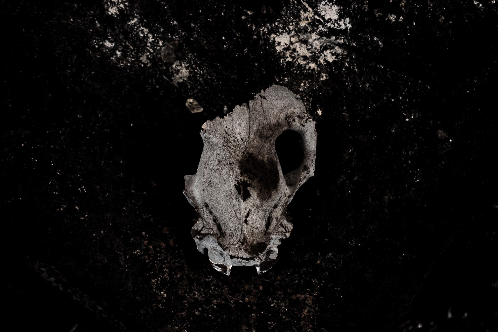 The so-called desert